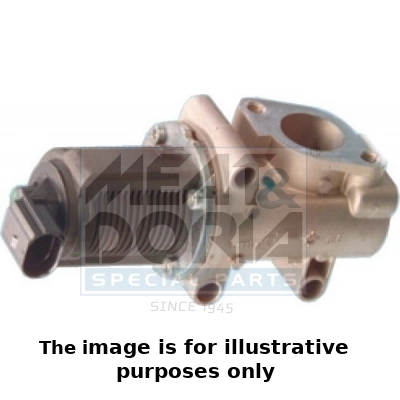 EGR Valve